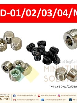 น็อตอุดรูเกลียว หัวหกเหลี่ยม หัวจม น็อตปิดรูเกลียว ขนาด BD-01-1/8 BD-02-1/4 BD-03-3/8 BD-04-1/2 BD-M5