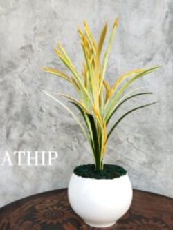 ต้นข้าว ประดิษฐ์จากดิน/ พืชมงคล ประดิษฐ์จากดิน