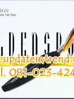 เครื่องนวดหน้าช้อนทอง Golden Spoon Beauty Face รุ่น SD-070G