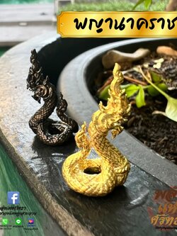 พญานาคราช พญานาค องค์เล็กจิ๋ว ขนาด 1 นิ้ว พกพาได้ เนื้อทองเหลือง รายละเอียดครบ