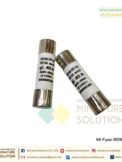 ต่อชิ้น ลูกฟิวส์ ขนาดใหญ่ ฟิวส์เซรามิค R016 สำหรับฐานฟิวส์ แอมป์ 2A 4A 6A 10A 16A 20A 32A รุ่นอย่างดี BERM (40A)