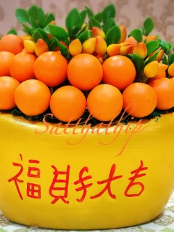 ส้ม ประดิษฐ์จากดิน กระถางก้อนทอง - ผลไม้มงคล ประดิษฐ์จากดิน กระถางก้อนทอง