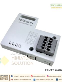 WECON LX5V-2ADI2DAI-BD