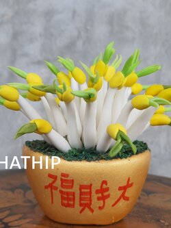 ถั่วงอก ประดิษฐ์จากดิน กระถางก้อนทอง/ ผลไม้มงคล ประดิษฐ์จากดิน กระถางก้อนทอง *ตัวหนังสือจีน แปลว่า ร่ำรวย โชคลาภ