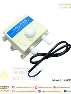 เซนเซอร์วัดความเข้มแสง Analog 4-20mA แบบสี่เหลี่ยมยึดผนัง LUX SENSOR 65K เซนเซอร์วัดแสง (กล่องสี่เหลี่ยม)