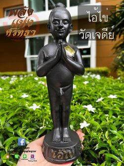 ไอ้ไข่ วัดเจดีย์ ตาไข่ พี่ไข่โชคลาภร่ำรวย l ขนาดความสูง 10 นิ้ว กว้าง 3 นิ้ว