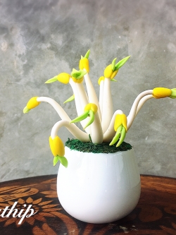 ต้นถั่วงอก ประดิษฐ์จากดิน/ ผลไม้มงคล ประดิษฐ์จากดิน