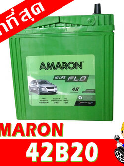 amaron 42b20l