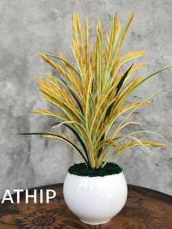 ต้นข้าว ประดิษฐ์จากดิน/ พืชมงคล ประดิษฐ์จากดิน