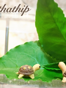 เต่า - โมเดลเต่า - เต่าดินปั้น - โมเดลสัตว์ - โมเดลสัตว์เลี้ยง - ตุ๊กตาสัตว์ดินปั้น - Animal model