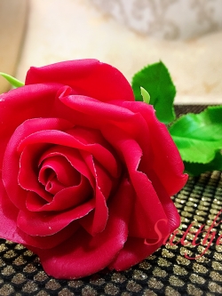 ดอกกุหลาบ สีแดง ประดิษฐ์จากดิน - ดอกกุหลาบ - Rose Flower