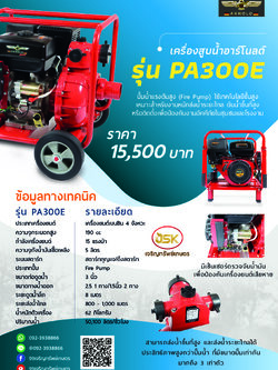 เครื่องสูบน้ำอาร์โนลด์ รุ่นPA300E ปั้มน้ำแรงดันสูง