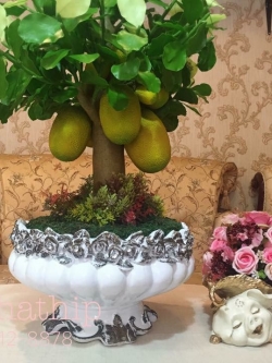 ต้นขนุน - ต้นขนุน ประดิษฐ์จากดิน - Jackfruit tree