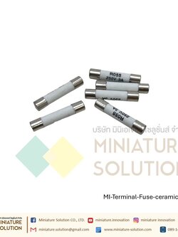 (ราคา 10 ชิ้น) ฟิวส์ขนาด 5x25 เซรามิกฟิวส์ ceramic fuse tube 5*25 5x25MM fuse core 0.5A1A3A6A8A10A (3A)(RO55)