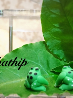 กบ - โมเดลกบ - กบดินปั้น - โมเดลสัตว์ - โมเดลสัตว์เลี้ยง - ตุ๊กตาสัตว์ดินปั้น - Animal model