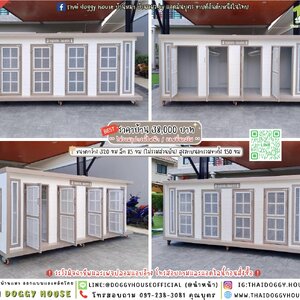 🏡บ้านกระต่าย มี 𝟯 ประตู แบบบ้าน 𝗕𝗼𝘅 𝗦𝘁𝘆𝗹𝗲 🐇🐰