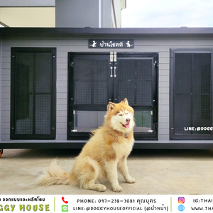 บ้านหมา แบบบ้าน 𝑩𝑶𝑿 𝑺𝑻𝒀𝑳𝑬