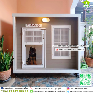 🏡บ้านหมา ติดพัดลม มีมุ้งลวด+ตะแกรงเหล็ก แบบบ้าน 𝐁𝐨𝐱 𝐬𝐭𝐲𝐥𝐞 ✨