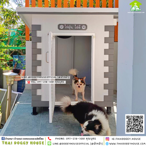 บ้านหมา ติดพัดลม มีมุ้งลวด + ตะแกรงเหล็ก แบบบ้าน 𝐕𝐢𝐧𝐭𝐚𝐠𝐞 𝐬𝐭𝐲𝐥𝐞🏡🤍