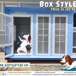 บ้านหมา แบบบ้าน BOX STYLE