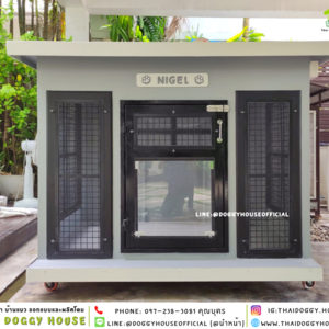 บ้านหมา แบบบ้าน 𝑩𝑶𝑿 𝑺𝑻𝒀𝑳𝑬