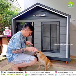 บ้านหมา แบบติดพัดลม 𝑵𝒐𝒓𝒅𝒊𝒄 𝒔𝒕𝒚𝒍𝒆