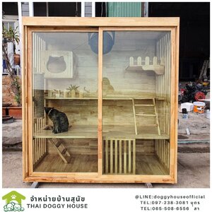 บ้านแมว สไตล์มินิมอล