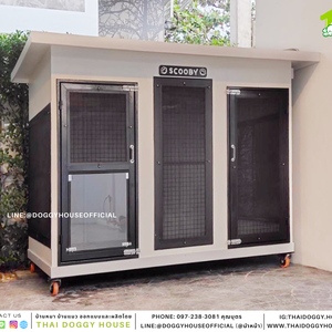 บ้านหมา 2 ประตู Box style