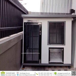 บ้านหมา