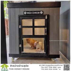 บ้านหมาทรงBOX