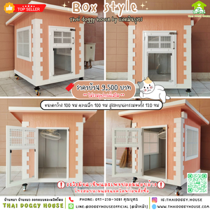 🏡บ้านหมา ติดพัดลม แบบบ้าน 𝐕𝐢𝐧𝐭𝐚𝐠𝐞 𝐬𝐭𝐲𝐥𝐞✨