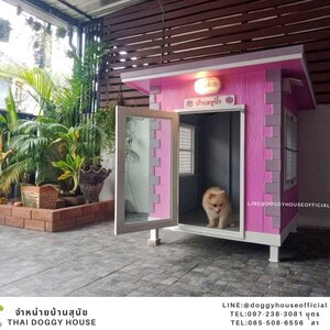 บ้านหมา