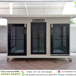 บ้านหมา 2ประตู แบบบ้าน BOX STYLE