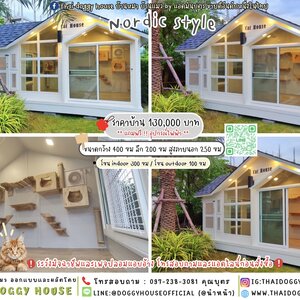 🏡🐈บ้านแมว รองรับการติดแอร์ 𝙉𝙤𝙧𝙙𝙞𝙘 𝙎𝙩𝙮𝙡𝙚 🐾