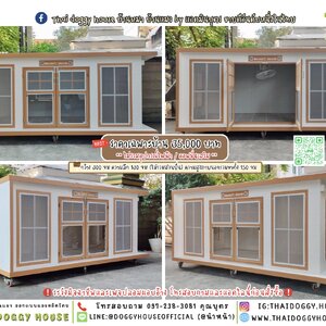 🏡บ้านหมา มุ้งลวด แบบบ้าน 𝐁𝐨𝐱 𝐬𝐭𝐲𝐥𝐞 🐈🐾