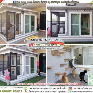 🏡 𝘾𝙖𝙩 𝙝𝙤𝙪𝙨𝙚 𝙈𝙤𝙙𝙚𝙧𝙣 𝙨𝙩𝙮𝙡𝙚 & 𝙤𝙪𝙩𝙙𝙤𝙤𝙧 ˚⋅ &