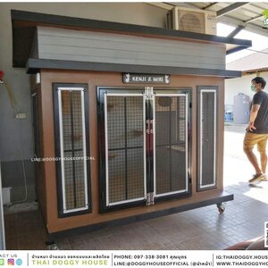 บ้านแมว