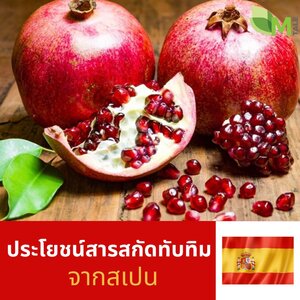 ประโยชน์จากสารสกัดทับทิม