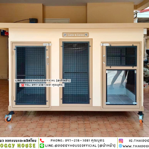 🏡🐶บ้านหมา มุ้งลวด แบ่ง 𝟐 ห้อง แบบบ้าน 𝐁𝐨𝐱 𝐒𝐭𝐲𝐥𝐞 ✨