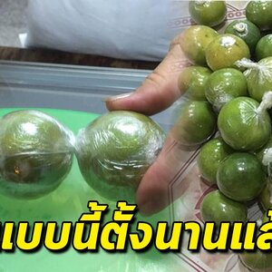7 วิธีเก็บมะนาวให้อยู่ได้นานหลายเดือน ไม่ขม รสชาติไม่เปลี่ยน
