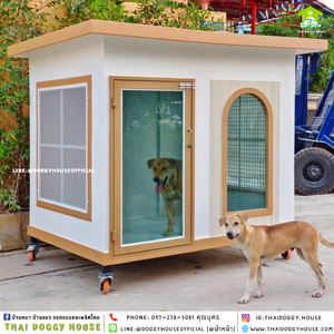 บ้านหมา แบบบ้าน 𝑩𝑶𝑿 𝑺𝑻𝒀𝒍𝑬