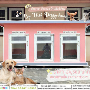 บ้านหมา 3ประตู แบบบ้าน Box Style