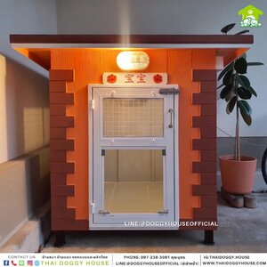 บ้านหมา แบบติดพัดลม