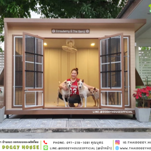 บ้านหมา แบบบ้าน BOX STYLE
