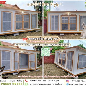 🏠บ้านแมว มุ้งลวด แบบบ้าน 𝐁𝐨𝐱 𝐬𝐭𝐲𝐥𝐞 🐶🔆