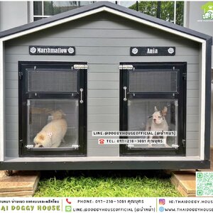 🏡บ้านหมา แบ่ง 𝟐 ห้อง แบบบ้าน 𝐍𝐨𝐫𝐝𝐢𝐜 𝐬𝐭𝐲𝐥𝐞 ✨