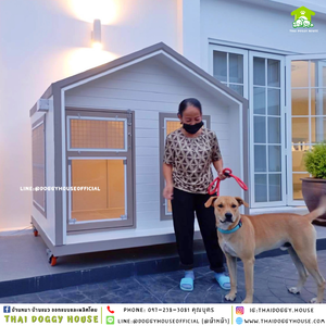 บ้านหมา แบบติดพัดลม 𝑵𝒐𝒓𝒅𝒊𝒄 𝒔𝒕𝒚𝒍𝒆