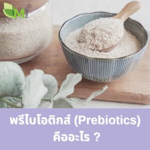 พรีไบโอติกส์ (Prebiotics) คืออะไร ?
