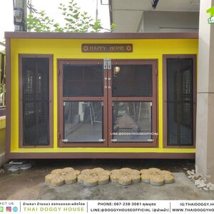 บ้านหมา แบบบ้าน Box Style