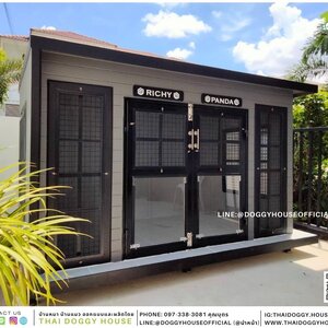 บ้านหมา Box style